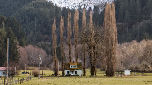 Picture of a house.