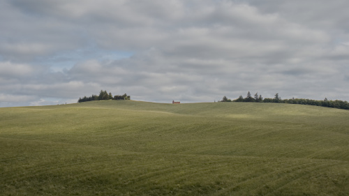 Picture of a red barn.